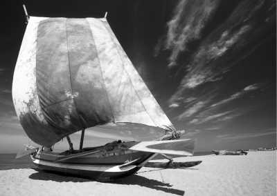 Sri Lanka - Negombo - Explore the Pearl of the Indian Ocean: Unveiling the Wonders of Sri Lanka