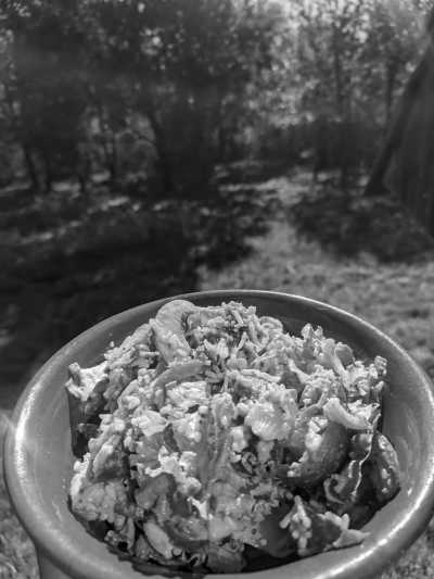 France - Toulouse - Exploring Toulouse and stay in a UFO house style! - 14