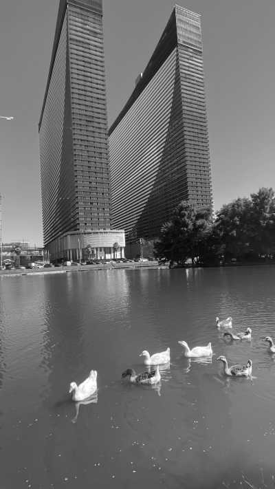 Georgien - Batumi - Roadtrip durch Georgien / Imeretien - 5