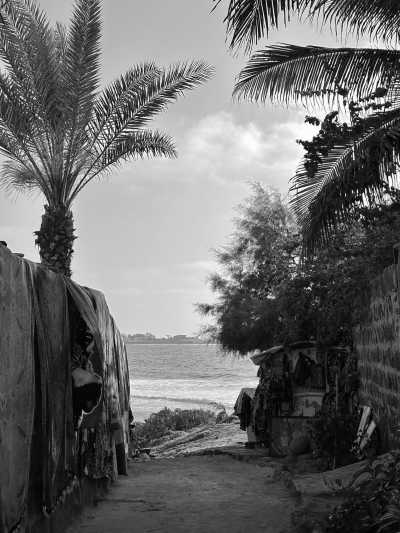 Senegal - Dakar - Senegal's Summer in Winter: Explore The Culture and Excitement in West Africa - 11