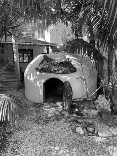 Mexico - Playa del Carmen - Nature Retreat in Mexico, Playa del Carmen 🇲🇽 Cleansing Ritual, Detox, Culture, Food and more! 🌴