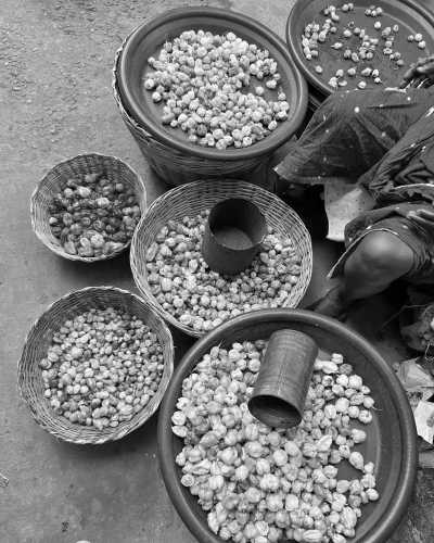 Ghana - Accra - Refresh your mind and body with Yoga and Nature - Cocoa Farm visit and Waves in Ghana! - 2