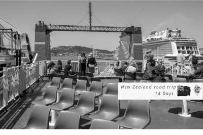 New Zealand - Picton - 🇳🇿🗺 Entdecke die Geheimnisse Neuseelands 🗺🇳🇿 - 4