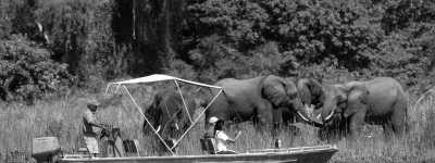 Malawi - Liwonde National Park - Discover the amazing Malawi Road Trip - 1