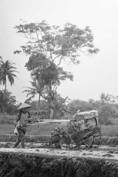 Indonesia - Yogyakarta - Yogyakarta Trip: Cultural Heritage Exploration, Nature and Adventure Excursion in Indonesia - 2