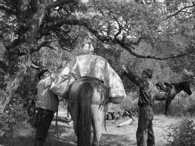 Argentina - Rio Turbio - Majestic Horse Riding Adventure,"Eye To Eye with the Condor" - 4