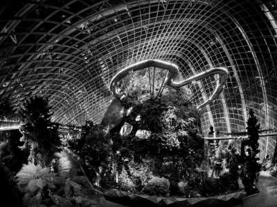 Singapore - Garden By The Bay - Chinese Garden - 𝗠𝗮𝗷𝗲𝘀𝘁𝗶𝗰 𝗦𝗶𝗻𝗴𝗮𝗽𝗼𝗿𝗲: 𝗔𝗻 𝗨𝗻𝗳𝗼𝗿𝗴𝗲𝘁𝘁𝗮𝗯𝗹𝗲 𝗝𝗼𝘂𝗿𝗻𝗲𝘆 𝗧𝗵𝗿𝗼𝘂𝗴𝗵 𝘁𝗵𝗲 𝗚𝗮𝗿𝗱𝗲𝗻 𝗖𝗶𝘁𝘆 🇸🇬⛲️🏝 - 6