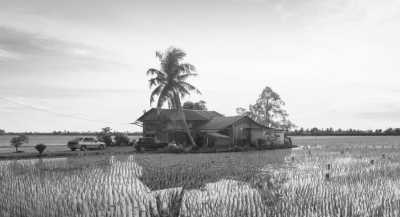 Malaysia - Kuala Selangor - Discover Fireflies and City of Kuala Lumpur, Malaysia - 2