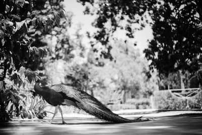 Spain - Seville - Ladies Coworking Retreat in Sévilla, Spain - Shared room - 3