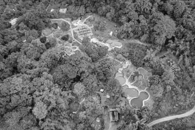 Malaysia - Kinabalu Park - Malaysian City Lights 🌆 to Jungle Heights 🌴: Kuala Lumpur, Malacca, Penang & Sabah - 1