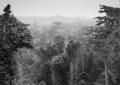 Ghana - Kakum National Park - Getting around Ghana like a local! - 2