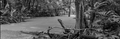 Bolivien - Parque Nacional Madidi - Work and travel in South America - Volunteer in an Animal Sanctuary in Bolivia - 9