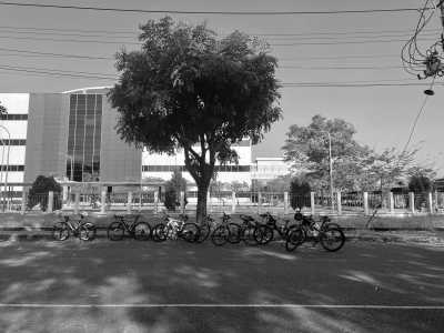 Vietnam - Ho Chi Minh City - All in one trip to Vietnam: Ho Chi Minh City and Da Lat - Nha Trang, Travel in a local way - 6