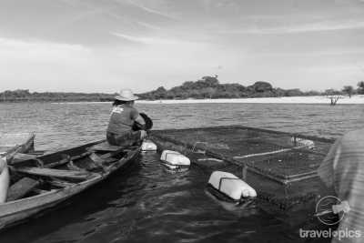 Brazil - Resex Tapajós arapiuns - Amazon Expedition: 14-day Immersion in Nature and the Riverside Communities of the Amazon. - 3