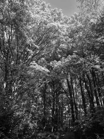 United Kingdom - London - Weekend in London - full of Art, Parks and Hidden Gems - 2