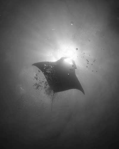 Indonesia - Nusa Lembongan - Bali & Lombok Beach and Sealife : Surf, Snorkel & Yoga - 1