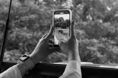 Sri Lanka - Tissamaharama - Join the Ultimate Sri Lankan Extravaganza: Witness the Mesmerizing Kandy Esala Perahera, Indulge in Sri Lankan Food, and Explore Breathtaking Landscapes - 2