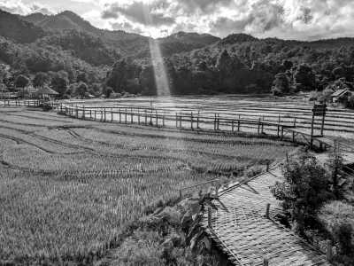 Thailand - Pai Walking Street - 🇹🇭 Thailand entdecken (Teil 2) - Nordthailand: Kultur, Party & Natur in Chiang Mai, Pai & Sukhothai 🍻🏯🌿🐘 - 4