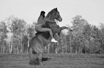 Romania - Crinț - Wanderritt Transsilvanien, Rumänien - 1