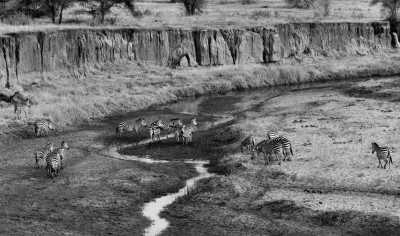 Tanzania - Ngorongoro Crater - 6 Days Tanzania Safari to Tarangire, Serengeti and Ngorongoro Crater