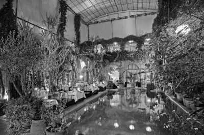 Marokko - Marrakesh - 3 Days Trip: Marrakech - Essaouira🐟️& Agafay Desert, SUNSET☀️,CAMEL RIDE🐫 AND MUCH MORE 🌴⭐️⭐️! - 2