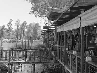 South America - Tigre - Discover Buenos Aires: A Guided Coworking Journey with a Local Expert + Colonia del Sacramento (Uruguay) - 5