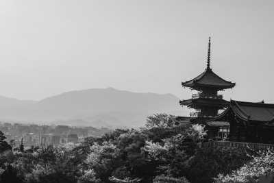 Japan - Discover Japan: A 7-Day Journey through Tokyo and Osaka - JoinMyTrip