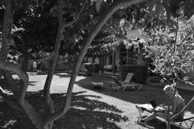 Greece - Pirgi Thermis - Co-Working Trip with a Local on the Greek island of Lesvos 💻🇬🇷 - 7