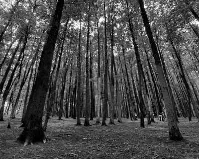 Romania - Polovragi - Romania Energy Tour - A journey to discover yourself - 1