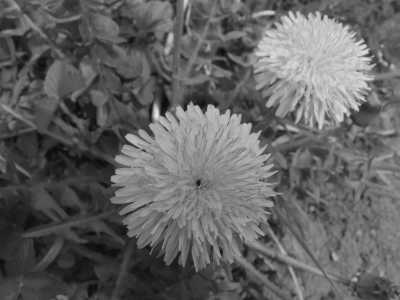 Hungary - Visegrád - Canoeing and Camping Trip Danube Budapest, Hungary - 4