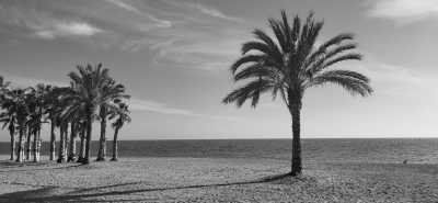 Spain - Discover Andalucia: Lust auf SUP, Tauchen und Wandern in einer ☀️ CoLiving Villa am Meer 🏝️? - JoinMyTrip