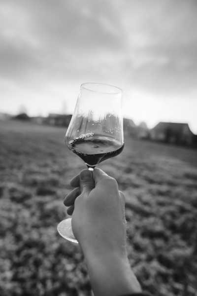 Österreich - Wien - Wandern, Wein und Wiener Flair 🇦🇹​ ​Weinwandern am Wochenende 🥾​🍷 - 2