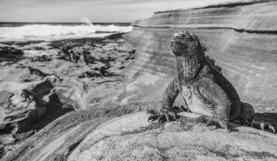 Ecuador - San Cristóbal Island - 5 Days Galapagos Adventure - 1