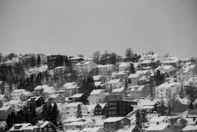 Norway - Tromsø - Northern Lights and Arctic Wonders: Winter Expedition in Norway - 2