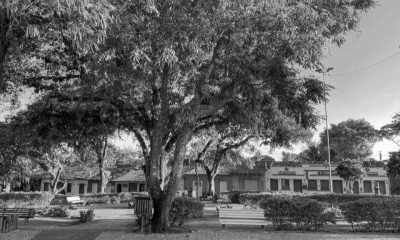 Brasilien - Arraial d'Ajuda - Explore Brazil in a Relaxing Coworking Environment: Uncover Porto Seguro, the Most Historical City of the Country! - 5