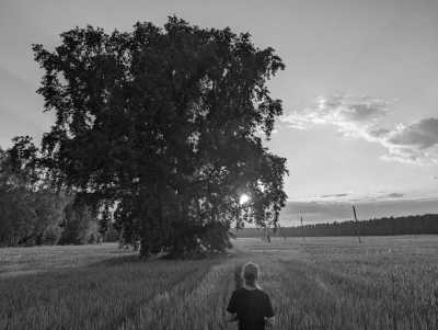 Europe - Lida - Exclusive Small-Group Tour of Belarus: Live like a Local, Dive into Culture, Connect with Nature and Indulge in Home-Made National Cuisine - 2