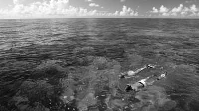 Philippines - El Nido - Private Island Trip El Nido in The Philippines 🌞🌴🌊 | Unplug and enjoy life! (Shared room) - 2