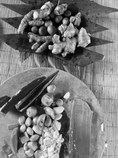 Indonesien - Ubud - Jungle Wellness Retreat Bali, Indonesia: Yoga, Waterfalls, Breathwork & MORE! - 4