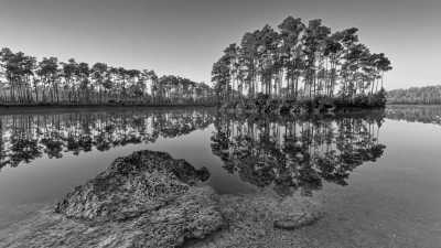 United States - Everglades National Park - Exploring the pure Lifestyle in Miami during Spring Break Season 🇺🇸🏝🏎🛥👙🩳 - 3