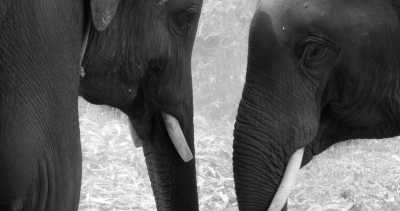 South-eastern Asia - Chiang Mai - Alle Facetten Südostasiens erleben - 2