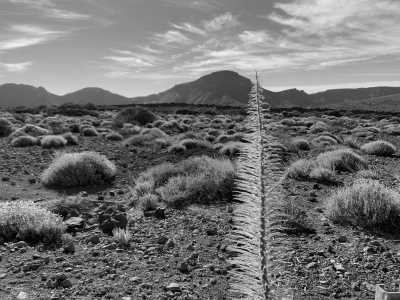 Spain - Parque Nacional del Teide - ☀️🏝️Tenerife Sportslife: Surfing  🏄🏻 Hiking  🥾 Kayaking 🚣🏻‍♀️ Beach Volley  🏐 and More in Tenerife - 3