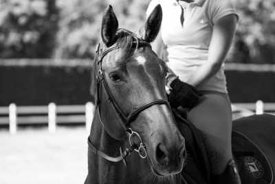 Barbados - Garrison Savannah - Barbados: A One-Week Traveling like a local