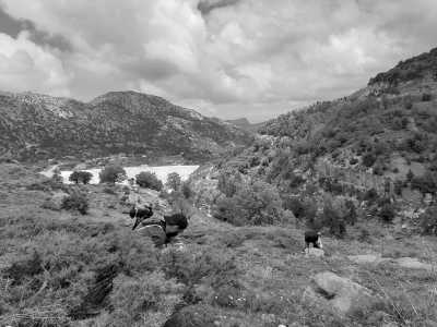 Lebanon - Byblos - Lebanon, two days mountain retreat: Hikes and more! - 3