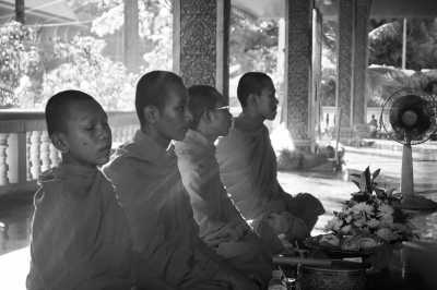 Cambodia - Krong Siem Reap - Natural Cambodia - 🐾 a trip that no one has ever taken ⚡ (Angkor temples, capital, jungles and relax at the Island are included!) - 4