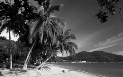 Kamerun - Boucareau - Discover Cameroon with a local. History, Culture, Food and much more! 🧗 - 1