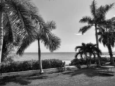 Mexico - Puerto Morelos - Discover the land of the MAYA on an epic road trip adventure! Visit famous & hidden Jewels of Mexican Caribbean with a local - 2