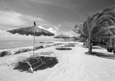 Senegal - Saly - Unveiling the Hidden Charms of Senegal: Discover its Rich Culture, Wildlife, and Natural Beauty