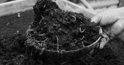 Costa Rica - La Gamba centro - Co-working und Volunteering im Regenwald Costa Ricas - 32