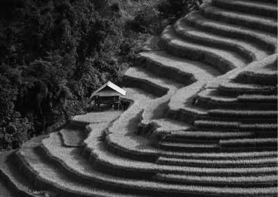 Vietnam - Mù Cang Chải District - Trekking Mu Cang Chai: Discover the Magnificent Rice Terraces of Northern Vietnam - 1