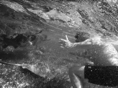 Belize - Barrier Reef - Experience Belize Like a Local: Authentic Travel Adventures Await - 4